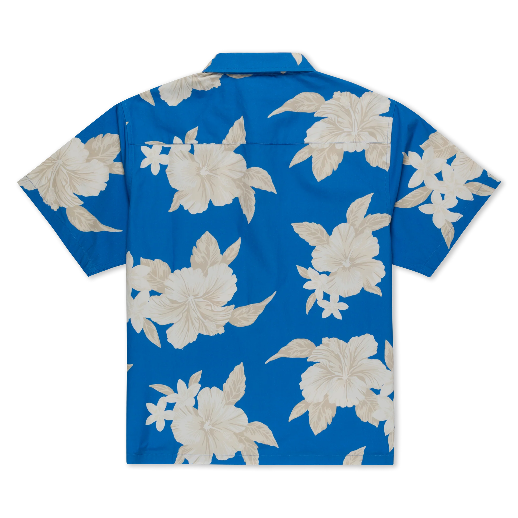 Camisa Ripndip - RIPNDIP SURF CO BUTTON UP (BLUE / CREAM)