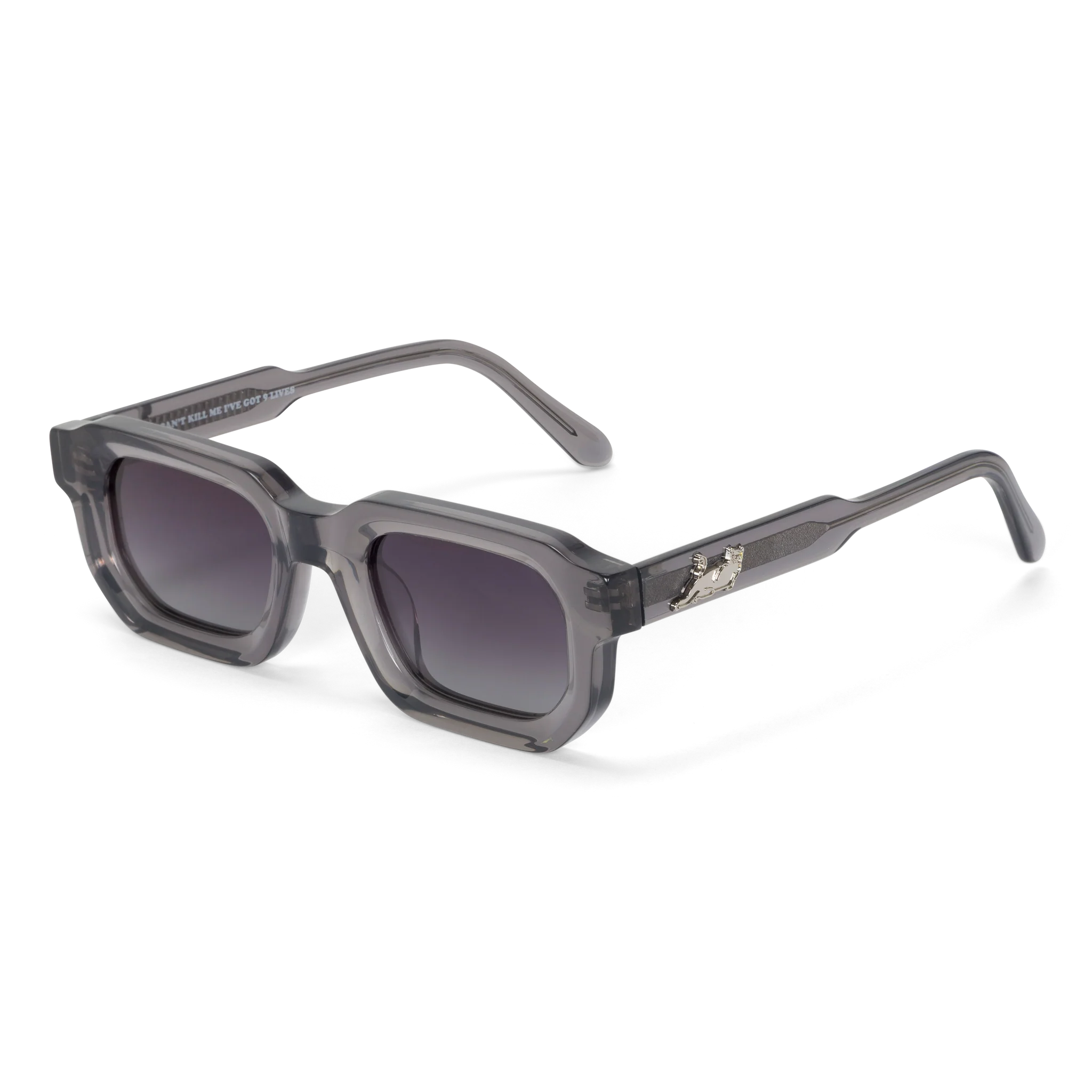 Castanza Sunglasses (Grey / Purple) - Envio 30/10