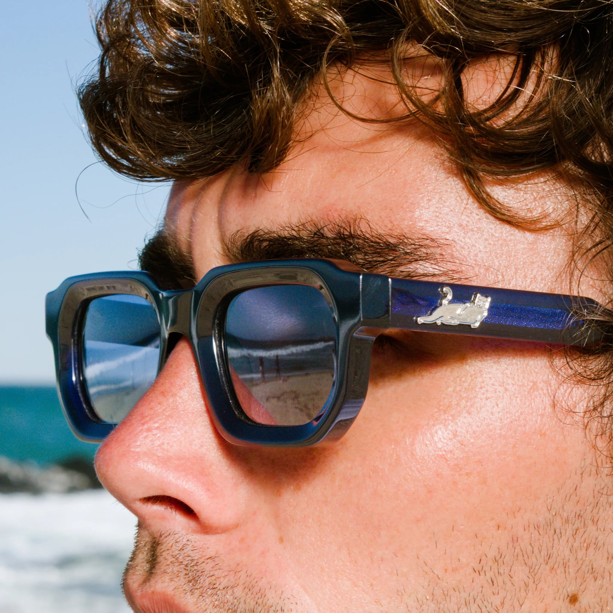 Castanza Sunglasses (Navy / Light Blue) - Envio 30/10