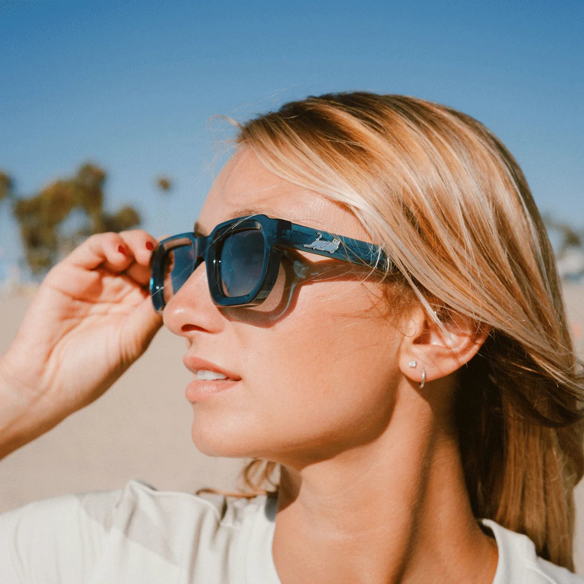 Castanza Sunglasses (Teal) - Envio 30/10