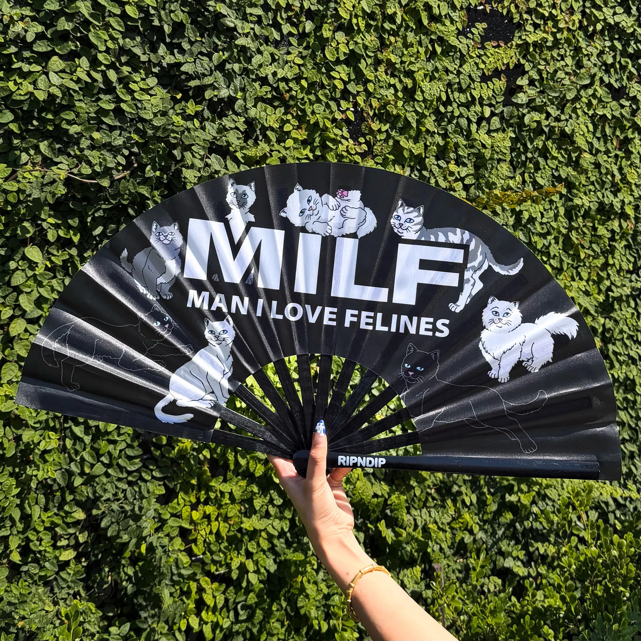 Leque Ripndip - Man I Love Felines Fan (Black)