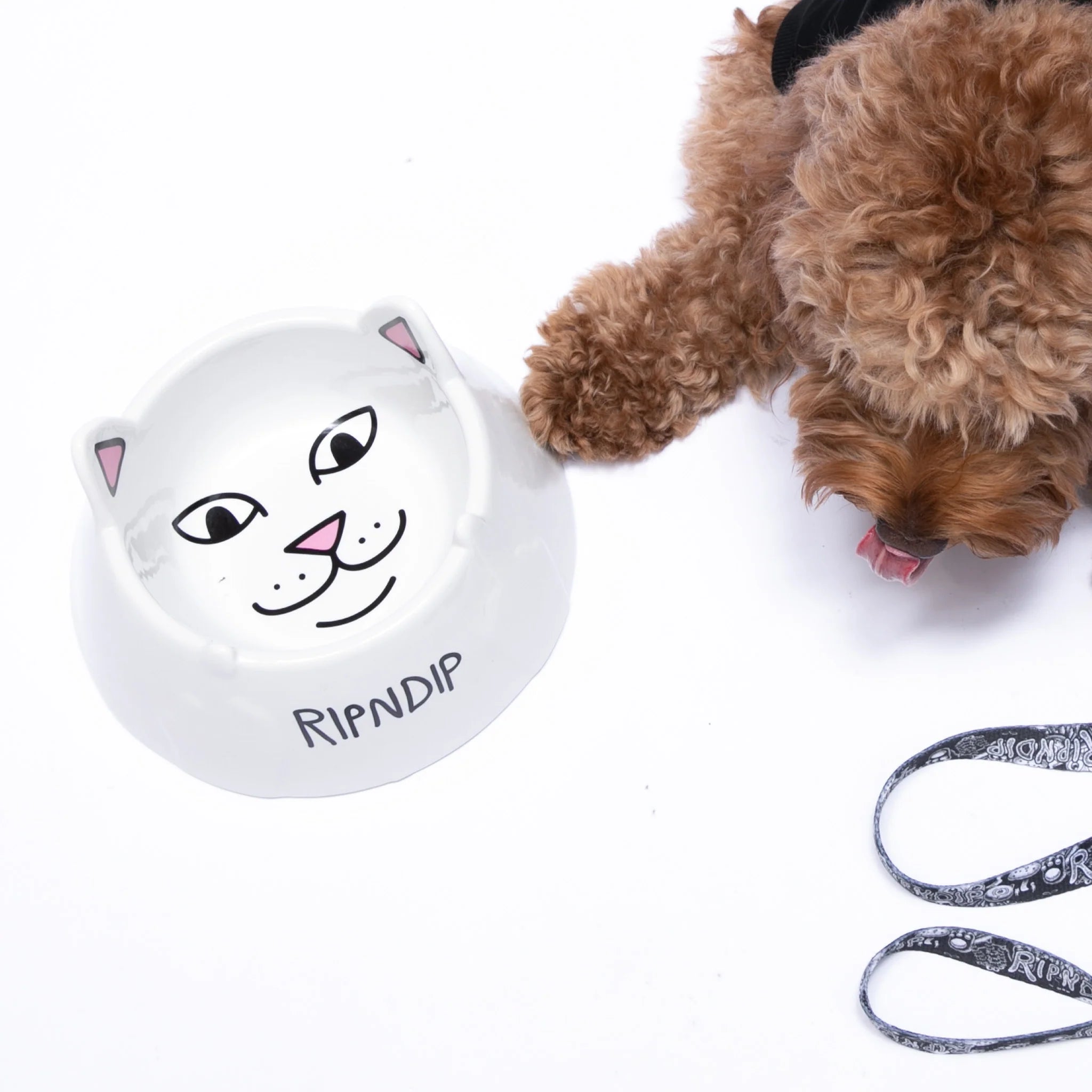 Tigela de Cerâmica Ripndip - Lord Nermal Pet Bowl (White) - Envio 30/10